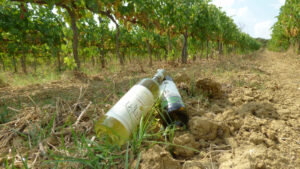 Regali Aziendali| Vini Toscana Vernaccia di San Gimignano