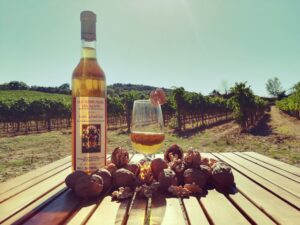 Regali Aziendali | Prodotti Toscana San Gimignano Vinsanto Doc 