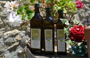 Regali Aziendali | Prodott Tipici Toscana Olio Extra Vergine Oliva Bio